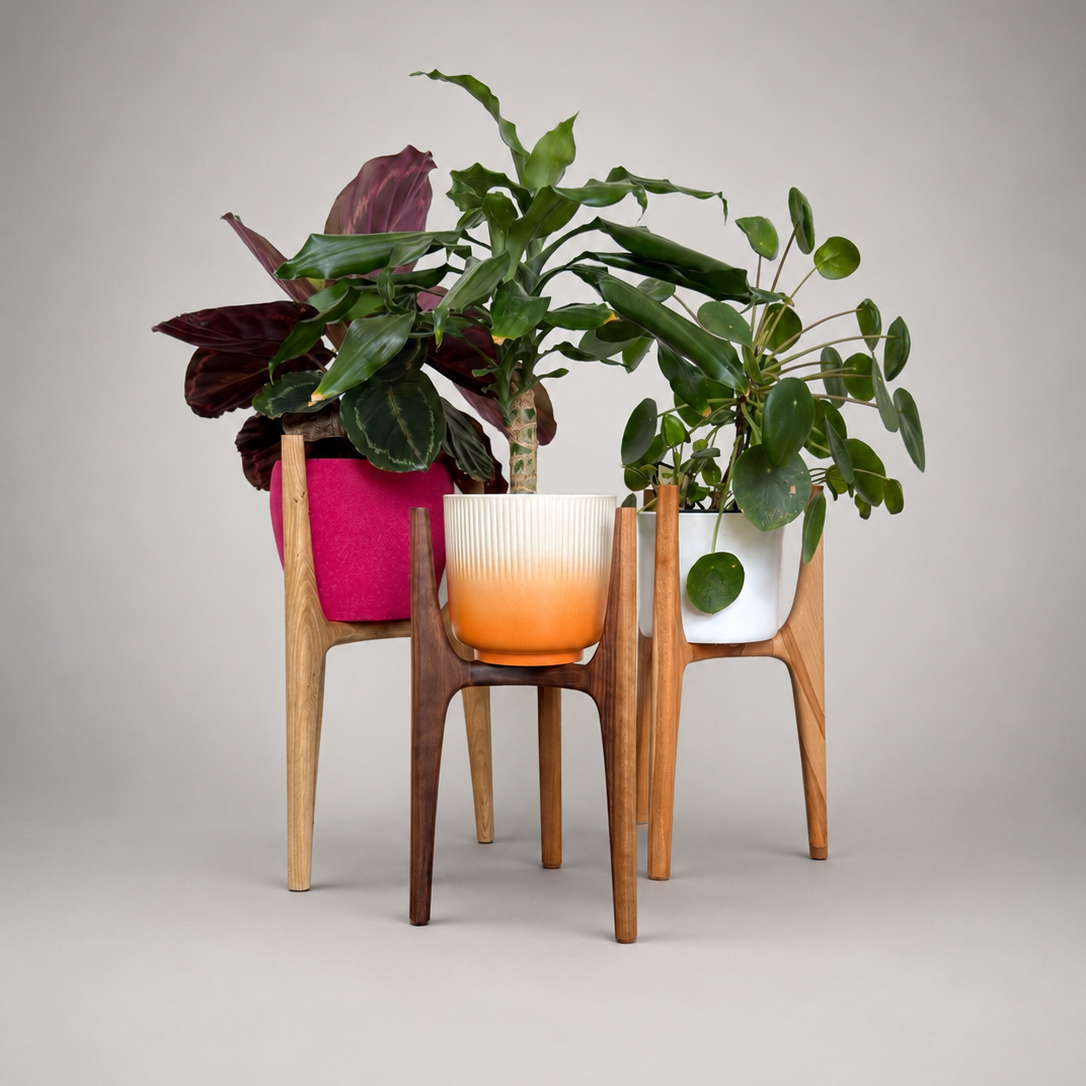 Three potted houseplants displayed on a set of three wooden plant stands of varying heights and finishes, against a neutral gray studio background.